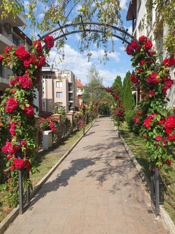 Family Hotel Apolon - 20