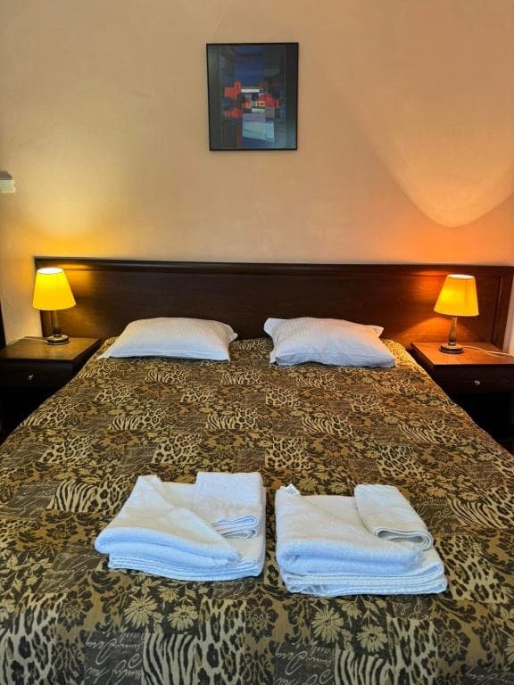 Villa Rila Borovets - 15